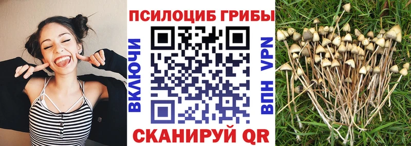 Купить где  Татарск  Галлюциногенные грибы мухоморы 